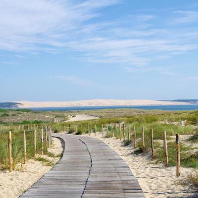 Chemin au Cap Ferret avec vue sur la dune du Pyla