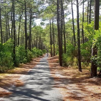 Piste cyclable entre la résidence et l'océan
