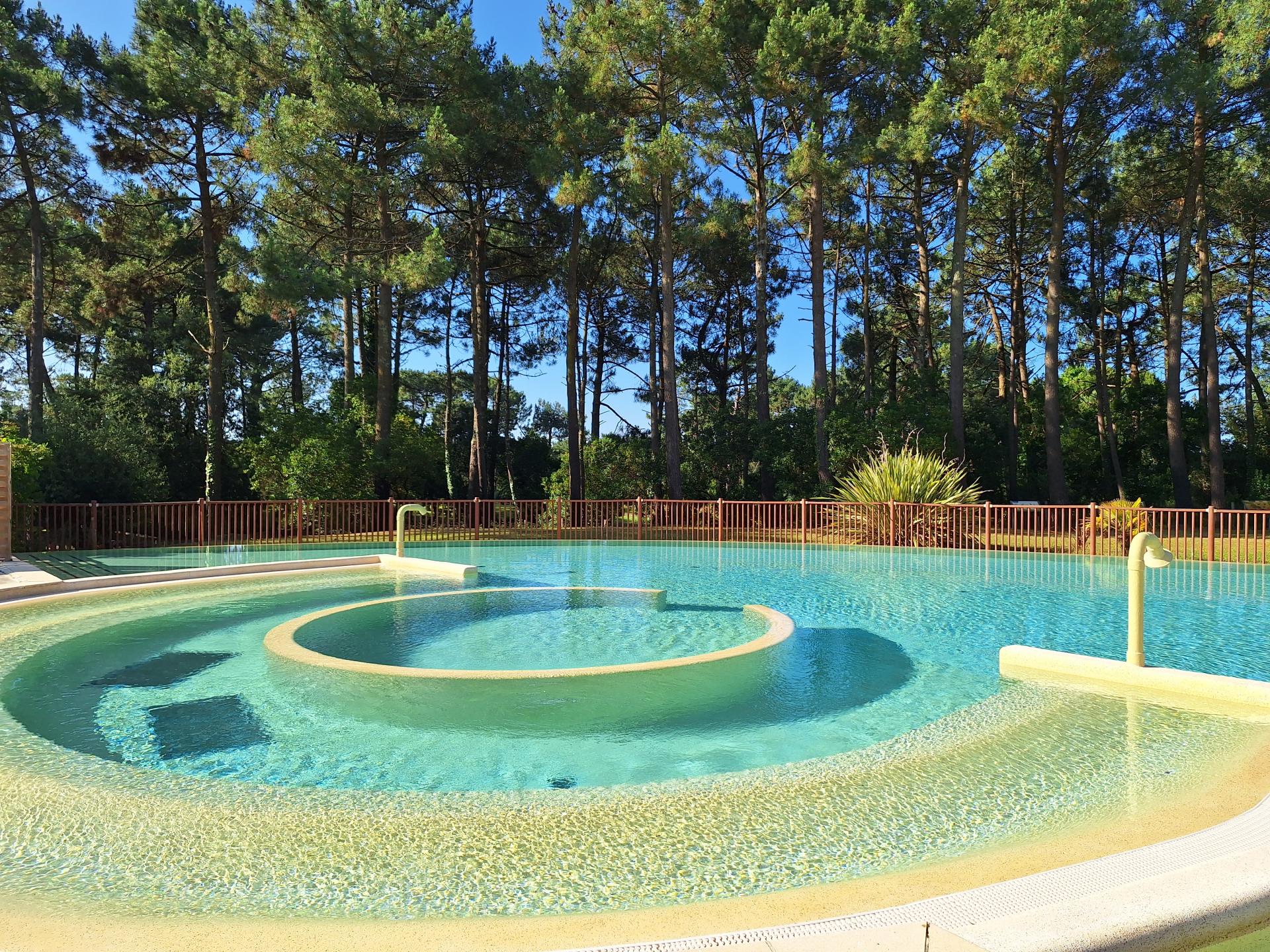Piscine chauffée avec eau claire et pins en arrière plan