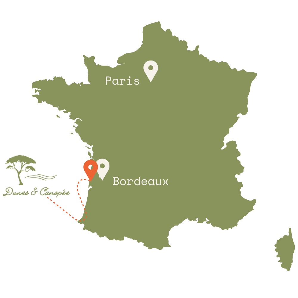 Carte d'accès Dunes & Canopée