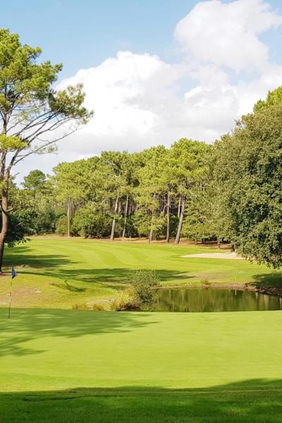 Golf international au milieu de la pinède