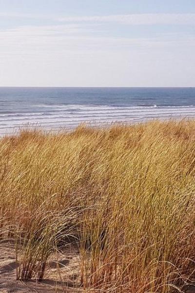 Plage sud vue de la dune avec oyats